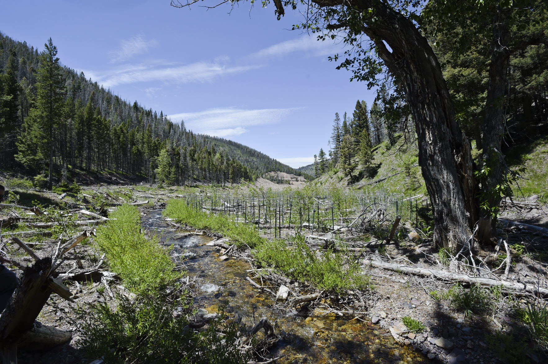 Now entering its fifth season, water cascades down engineered streambeds